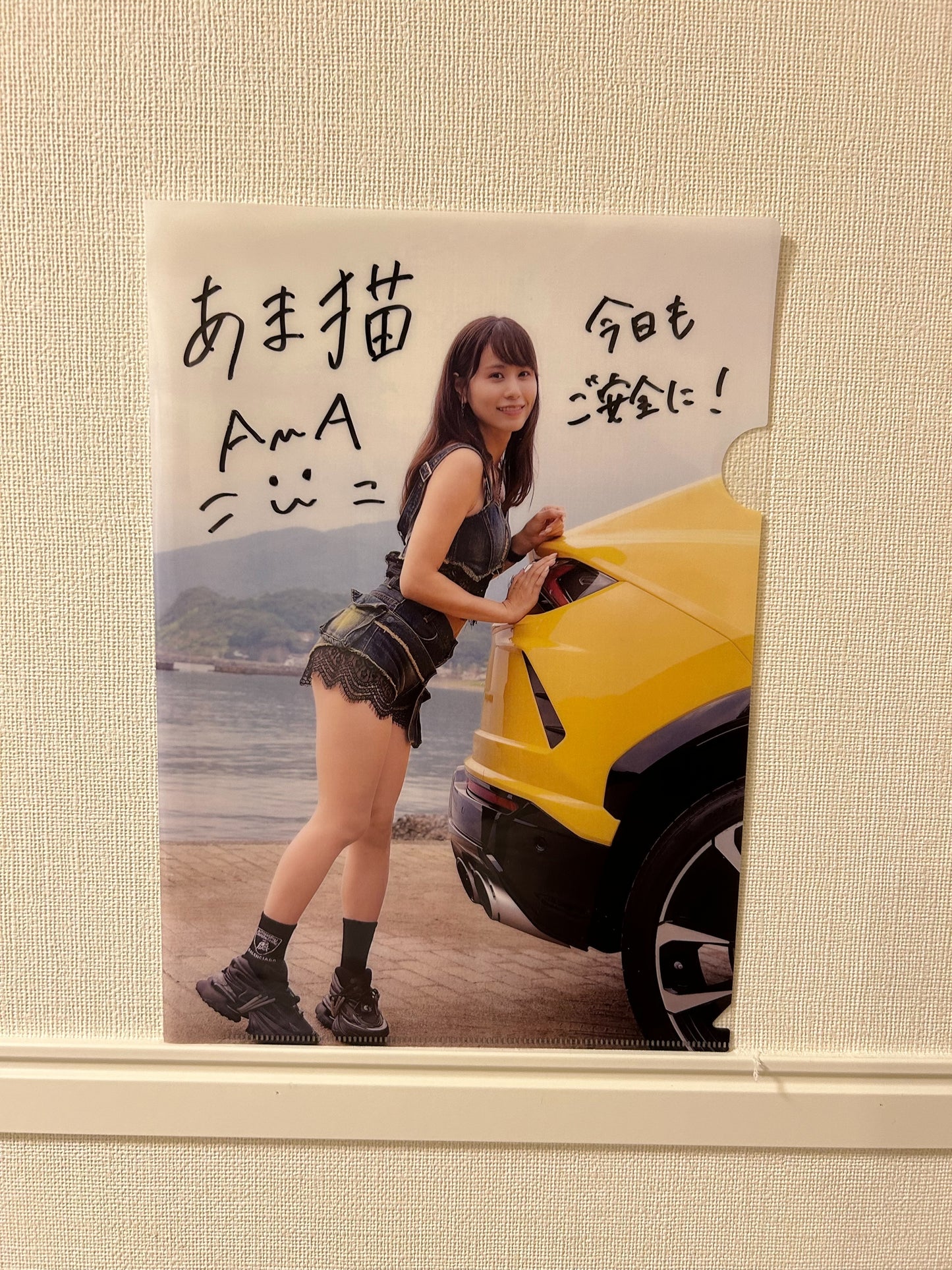 あま猫クリアファイル